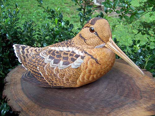A rather lifelike carving of a woodcock.